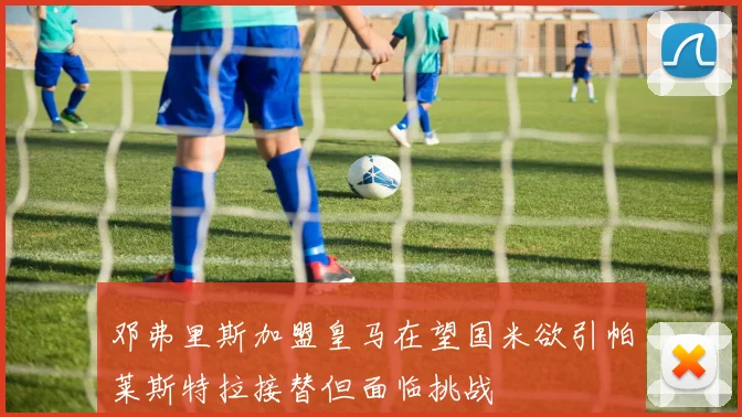 邓弗里斯加盟皇马在望国米欲引帕莱斯特拉接替但面临挑战